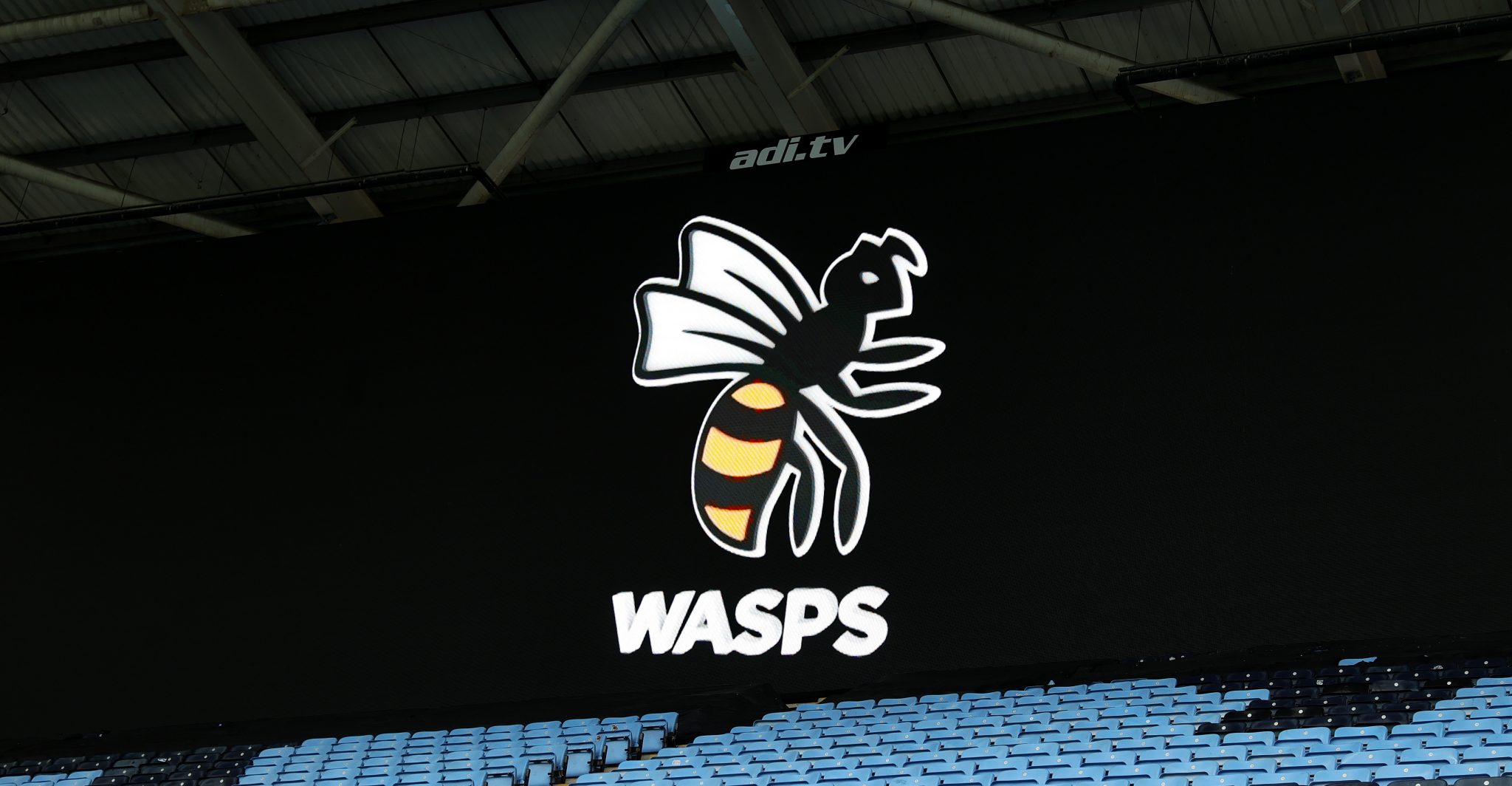 Wasps Championship